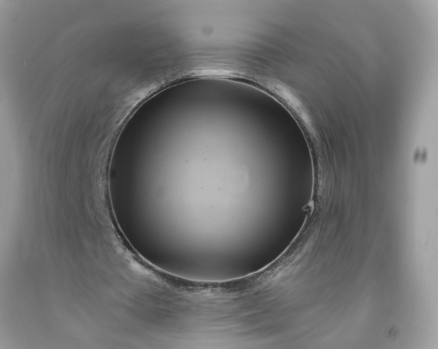 X0000091590385200709051126