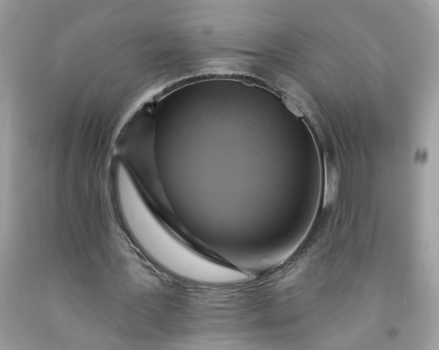 X0000091590387200709051126