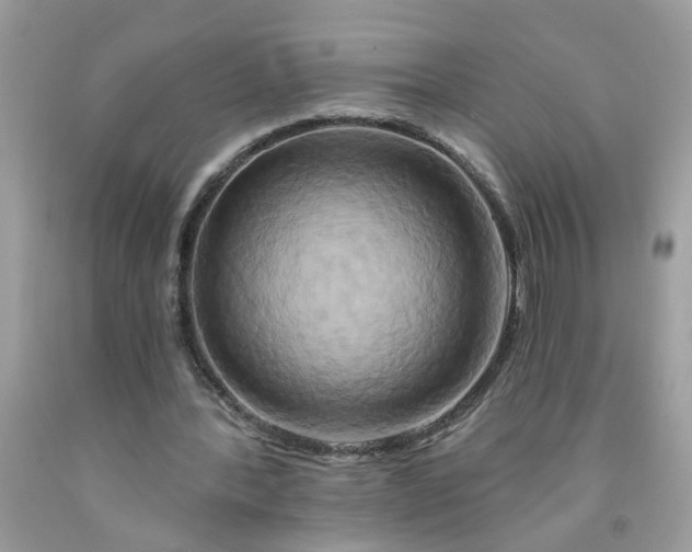 X0000091590388200709051126