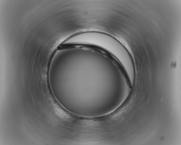X0000091590389200709051126