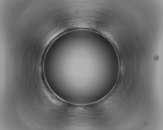 X0000091590390200709051126