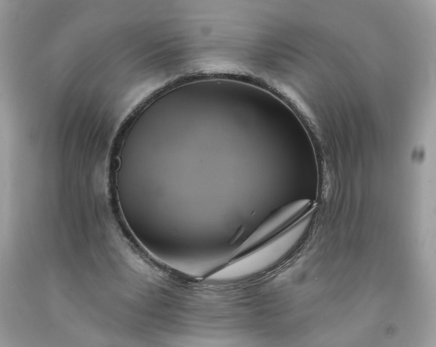 X0000091590391200709051126