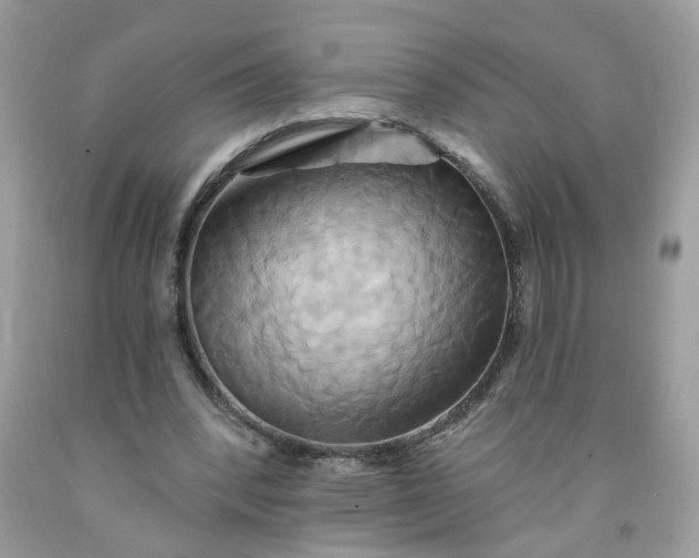 X0000091590392200709051126