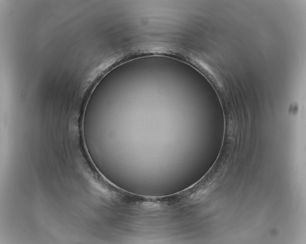 X0000091590394200709051126