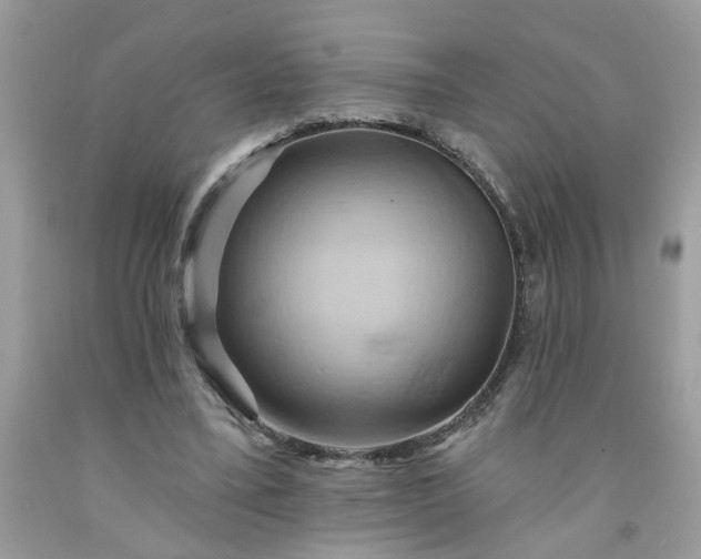 X0000091590395200709051126