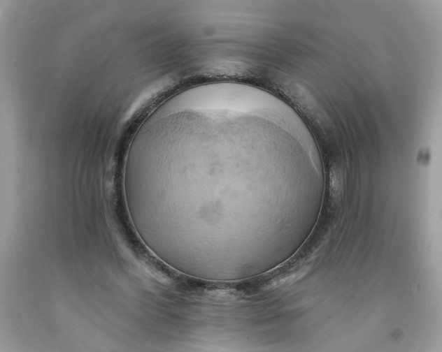 X0000091590396200709051126