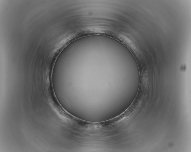 X0000091590398200709051126