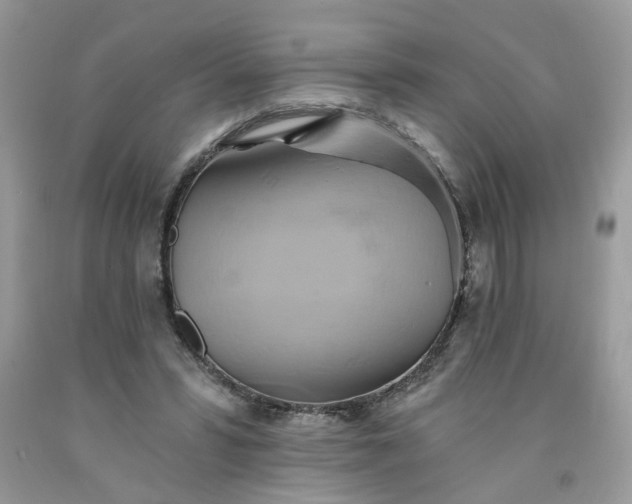 X0000091590399200709051126