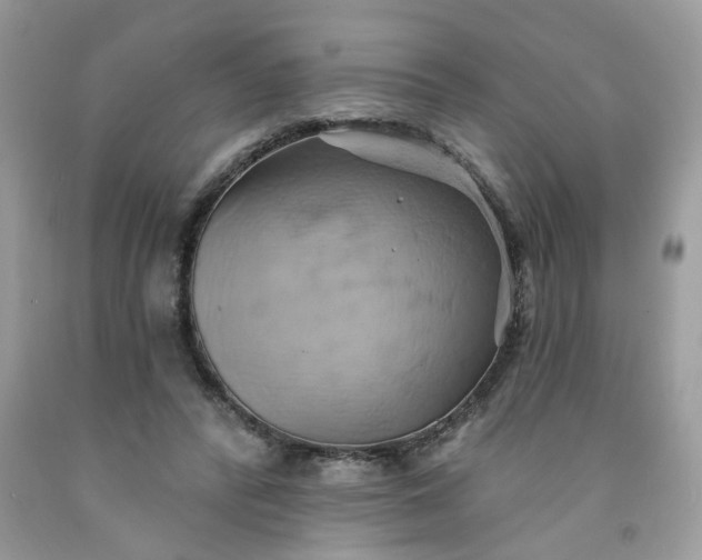 X0000091590400200709051126
