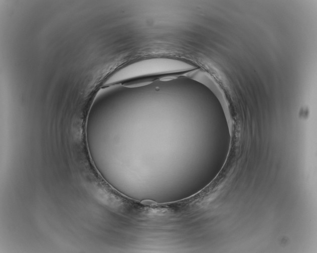 X0000091590401200709051126
