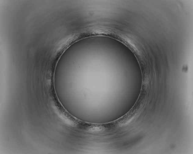 X0000091590402200709051126