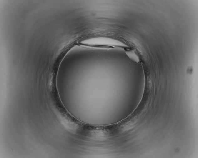 X0000091590404200709051126
