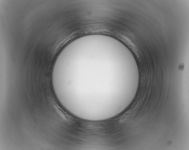 X0000091590405200709051126