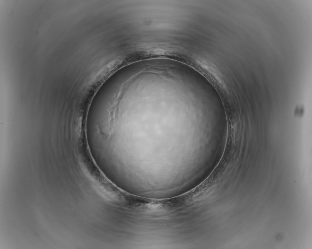 X0000091590406200709051126