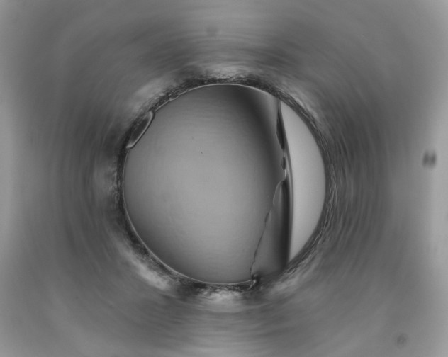 X0000091590407200709051126