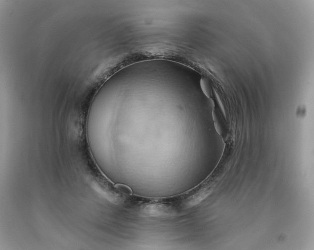 X0000091590408200709051126