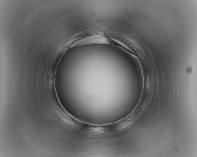 X0000091590409200709051126