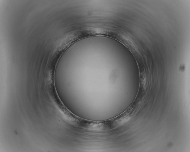 X0000091590410200709051126