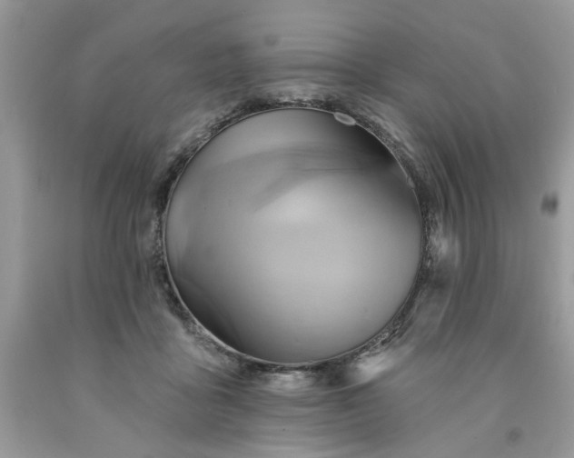 X0000091590411200709051125