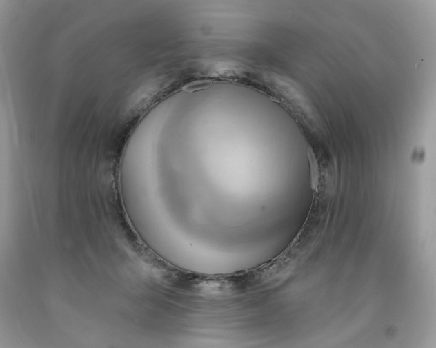 X0000091590415200709051125