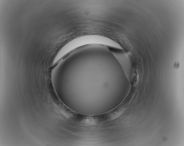 X0000091590416200709051125