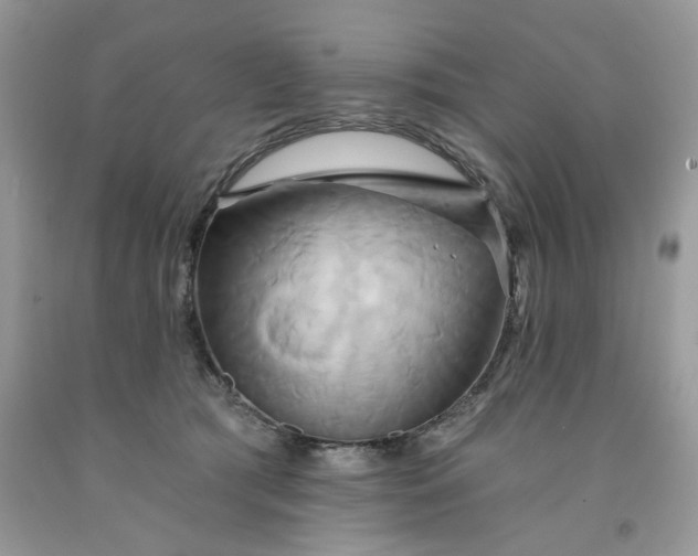 X0000091590417200709051125
