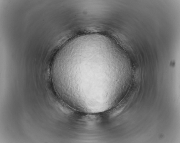X0000091590418200709051125
