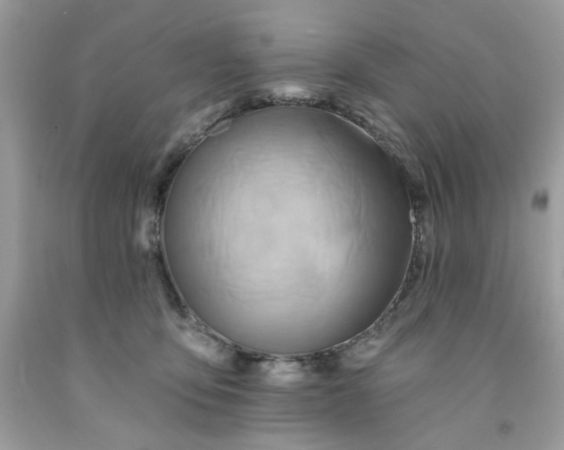 X0000091590419200709051125