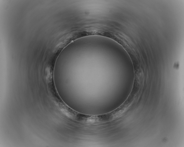 X0000091590420200709051125