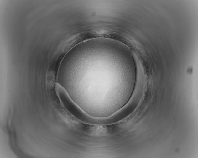 X0000091590421200709051125