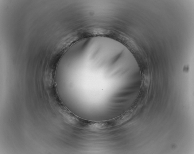 X0000091590422200709051125