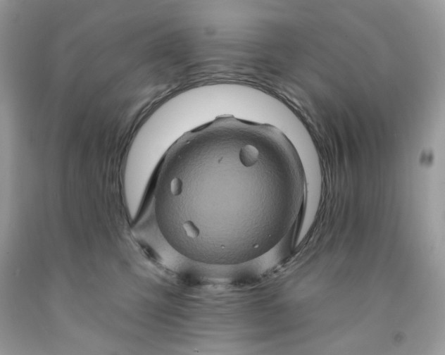 X0000091590423200709051125