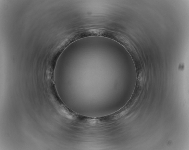X0000091590424200709051125