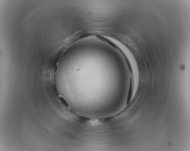 X0000091590425200709051125