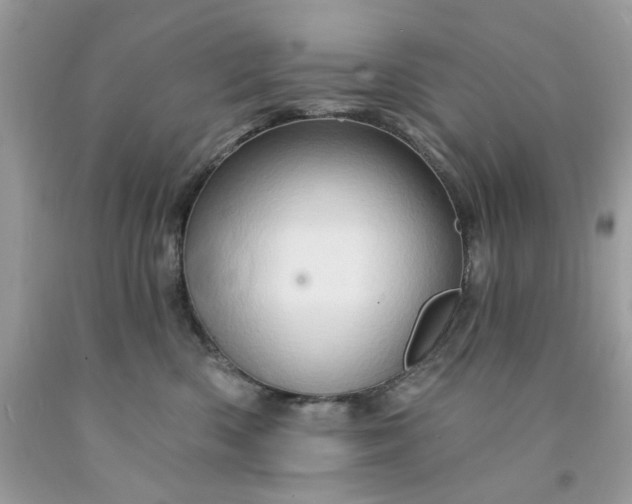 X0000091590426200709051125