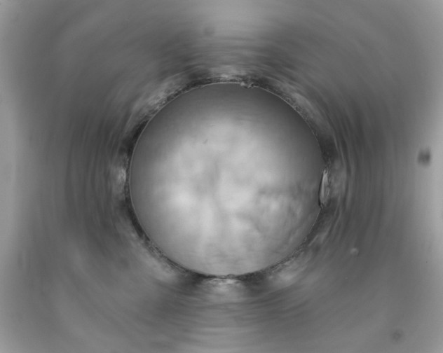 X0000091590427200709051125