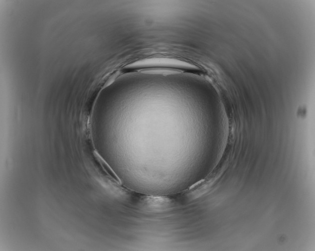 X0000091590429200709051125
