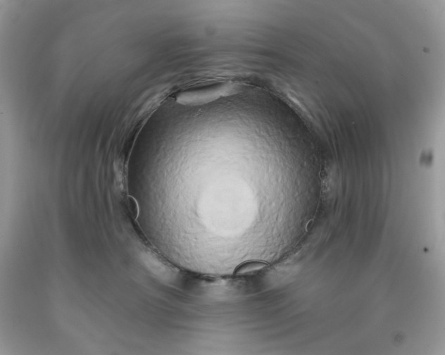 X0000091590430200709051125