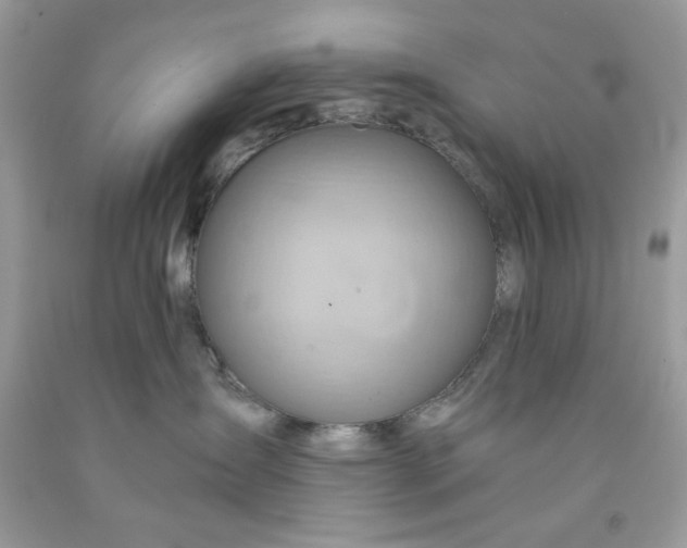 X0000091590431200709051125