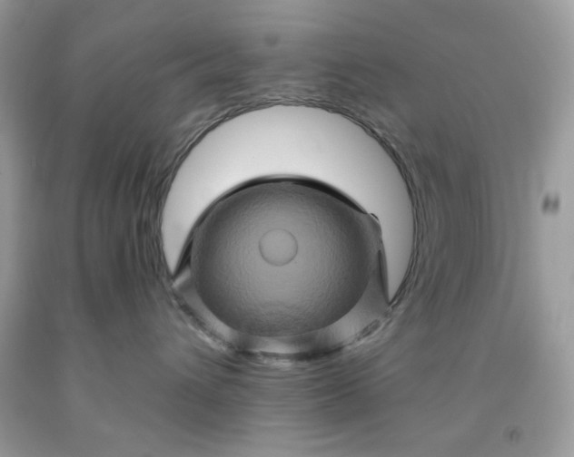 X0000091590432200709051125