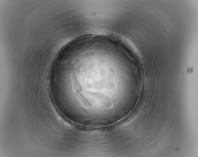 X0000091590433200709051124