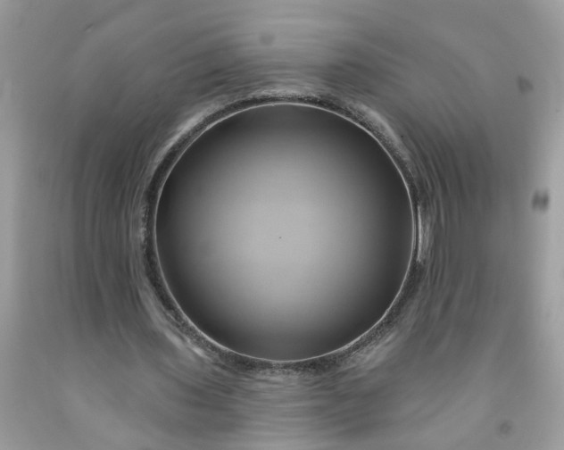 X0000091590435200709051124