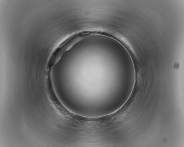 X0000091590436200709051124