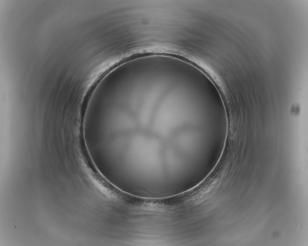 X0000091590437200709051125