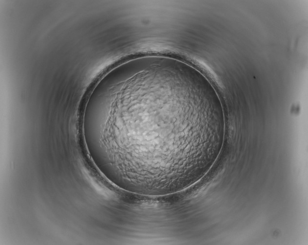 X0000091590439200709051125