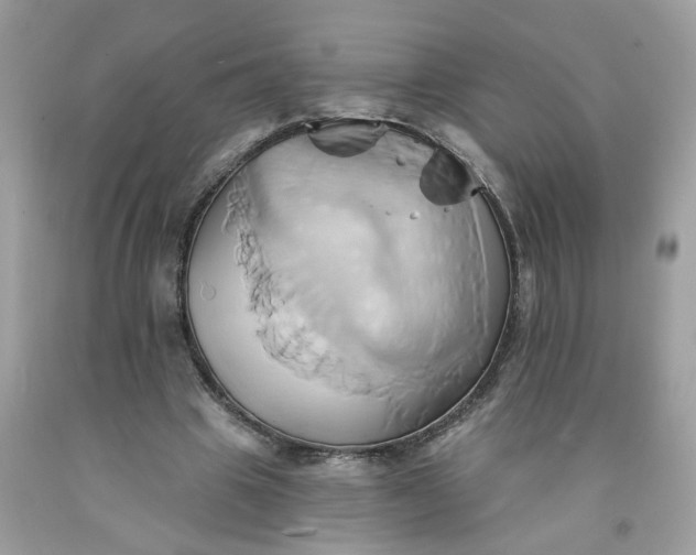 X0000091590441200709051125