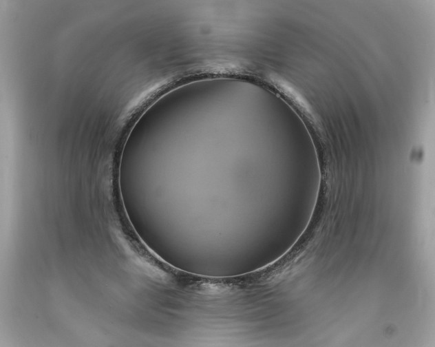 X0000091590442200709051125