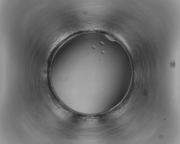 X0000091590443200709051125