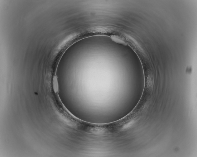 X0000091590444200709051125