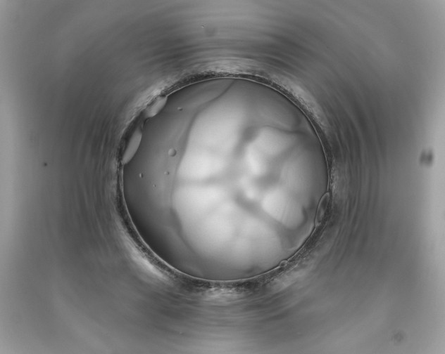 X0000091590445200709051125